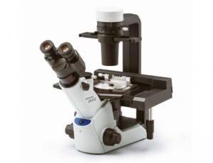 奥林巴斯显微镜 CKX53